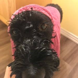 Meet your Posher, Naomi